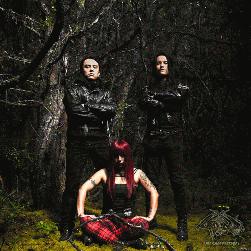 Impunity : Raíz Ennegrecida Impunity : Raíz Ennegrecida